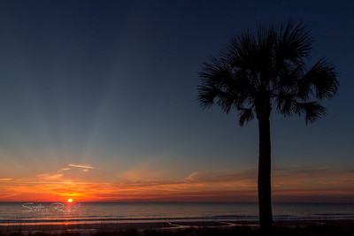 South Carolina Sunrise Explored on Flickr